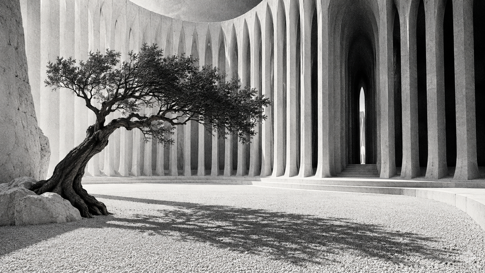 Monochrome architectural study: garden.